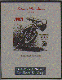 Doc Wong's Quicksilver Award: Second Place