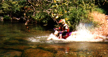 Doc Wong going into really deep water!