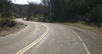 The curve where I fell